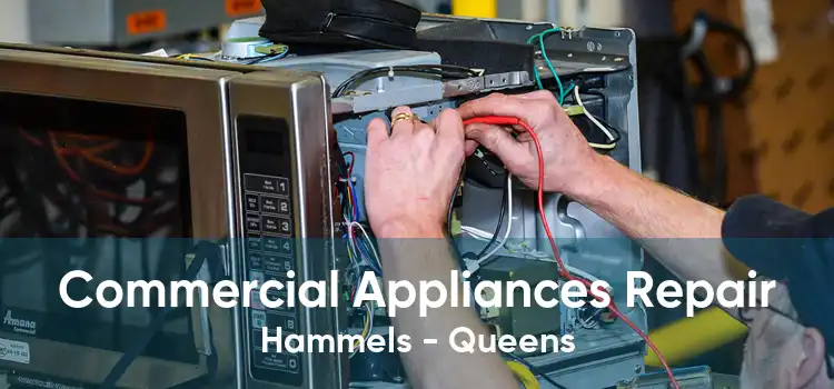 Commercial Appliances Repair Hammels - Queens