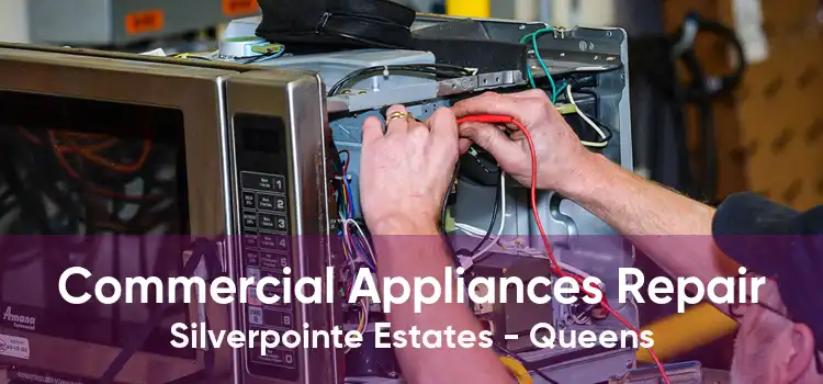 Commercial Appliances Repair Silverpointe Estates - Queens