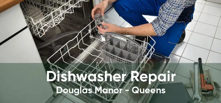 Dishwasher Repair Douglas Manor - Queens