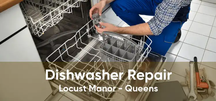 Dishwasher Repair Locust Manor - Queens