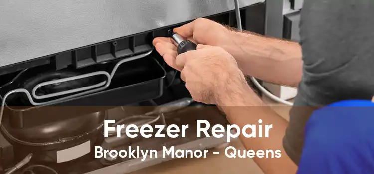 Freezer Repair Brooklyn Manor - Queens