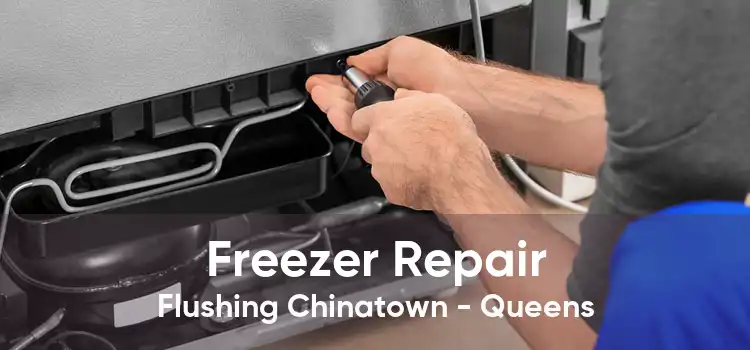 Freezer Repair Flushing Chinatown - Queens