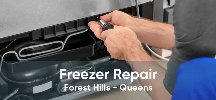 Freezer Repair Forest Hills - Queens