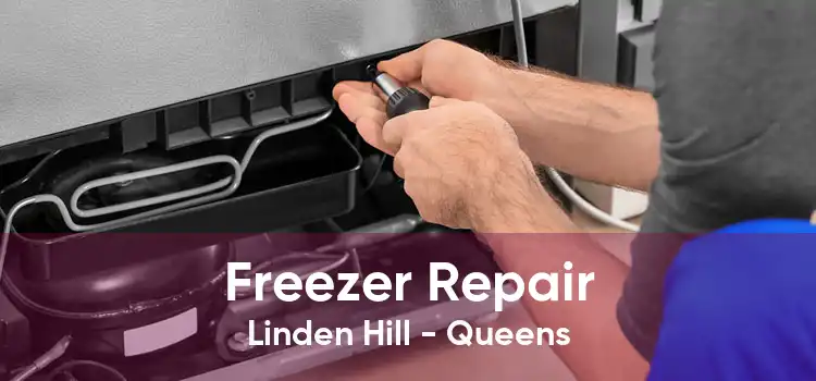 Freezer Repair Linden Hill - Queens