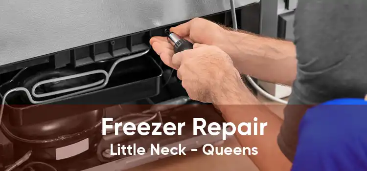 Freezer Repair Little Neck - Queens