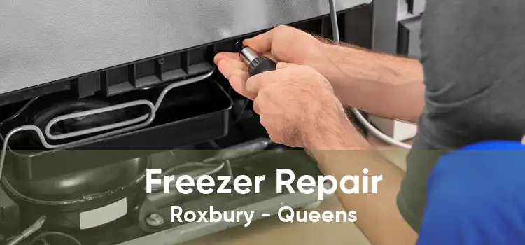 Freezer Repair Roxbury - Queens
