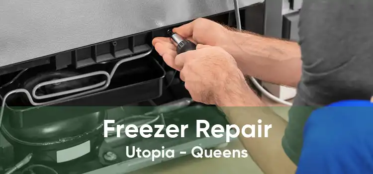 Freezer Repair Utopia - Queens