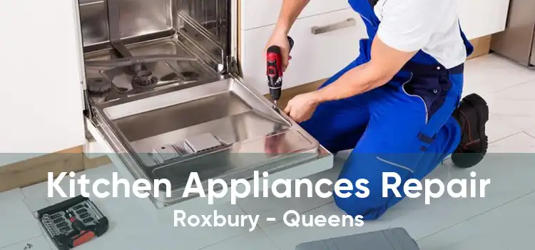 Kitchen Appliances Repair Roxbury - Queens
