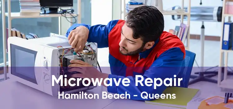 Microwave Repair Hamilton Beach - Queens