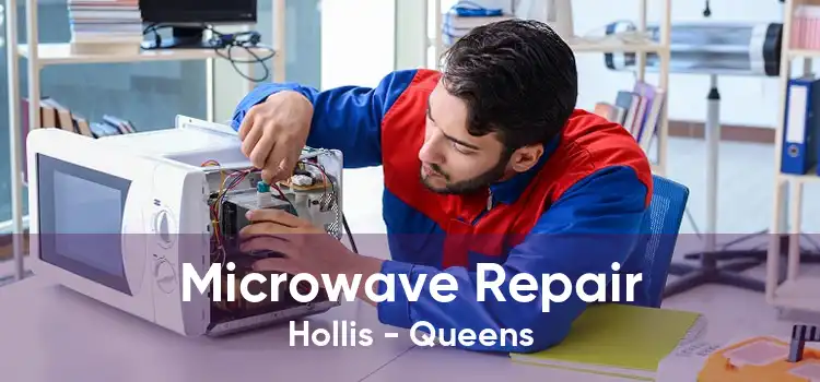 Microwave Repair Hollis - Queens