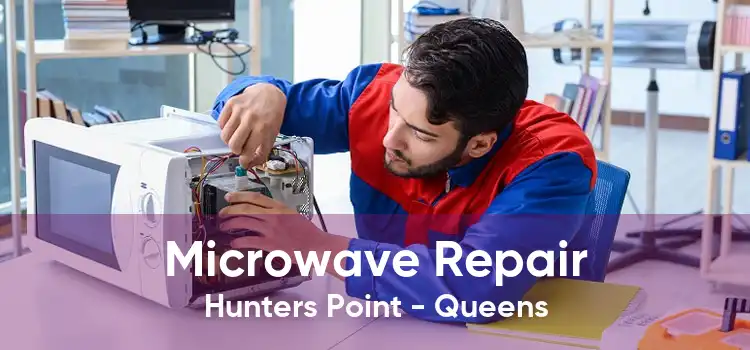 Microwave Repair Hunters Point - Queens