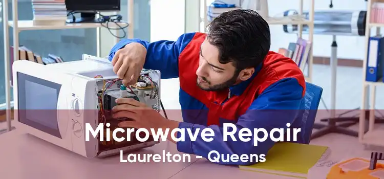 Microwave Repair Laurelton - Queens