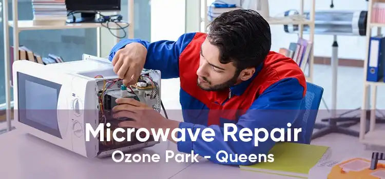 Microwave Repair Ozone Park - Queens