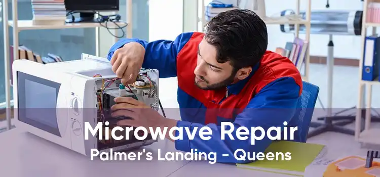 Microwave Repair Palmer's Landing - Queens