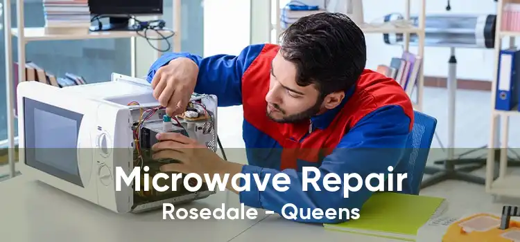 Microwave Repair Rosedale - Queens