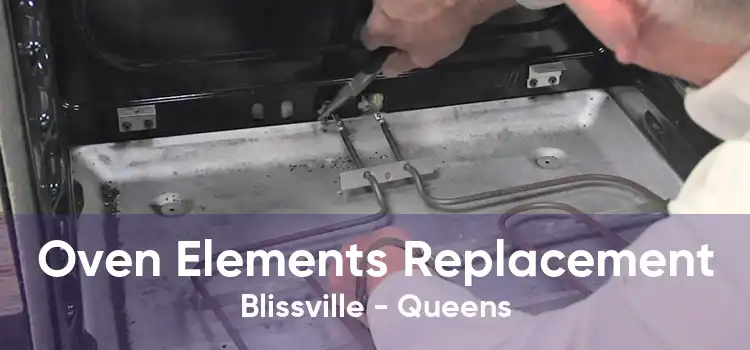 Oven Elements Replacement Blissville - Queens