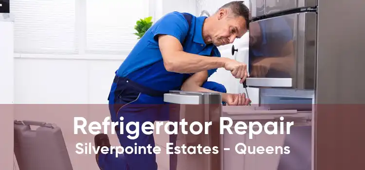 Refrigerator Repair Silverpointe Estates - Queens