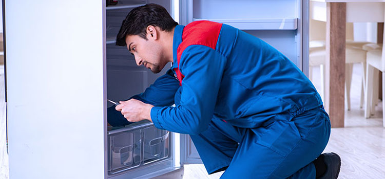 Frigidaire Freezer Repair Services in Queens, New York